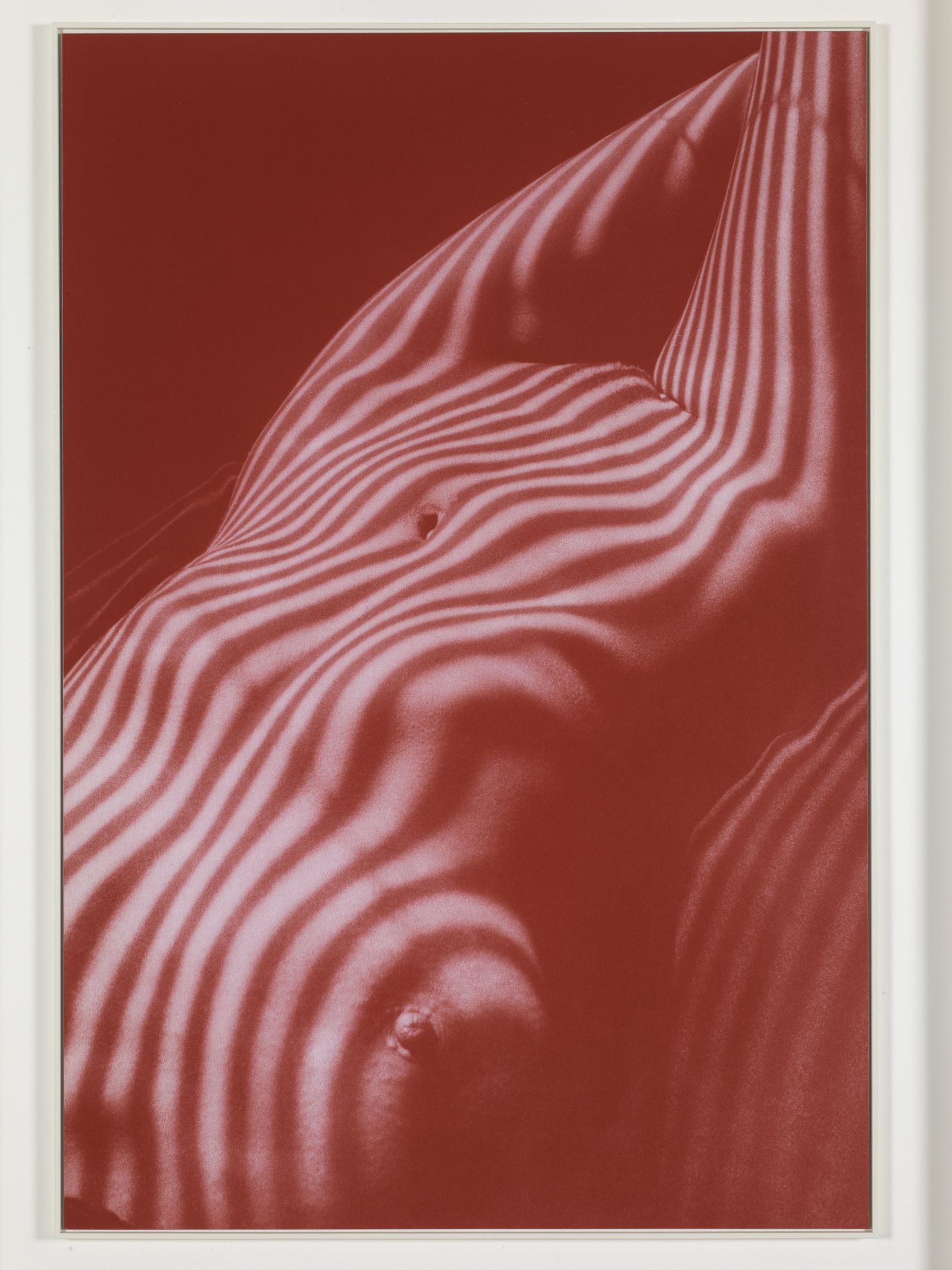 grand fresson rouge.jpg